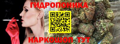 apvp Лесосибирск