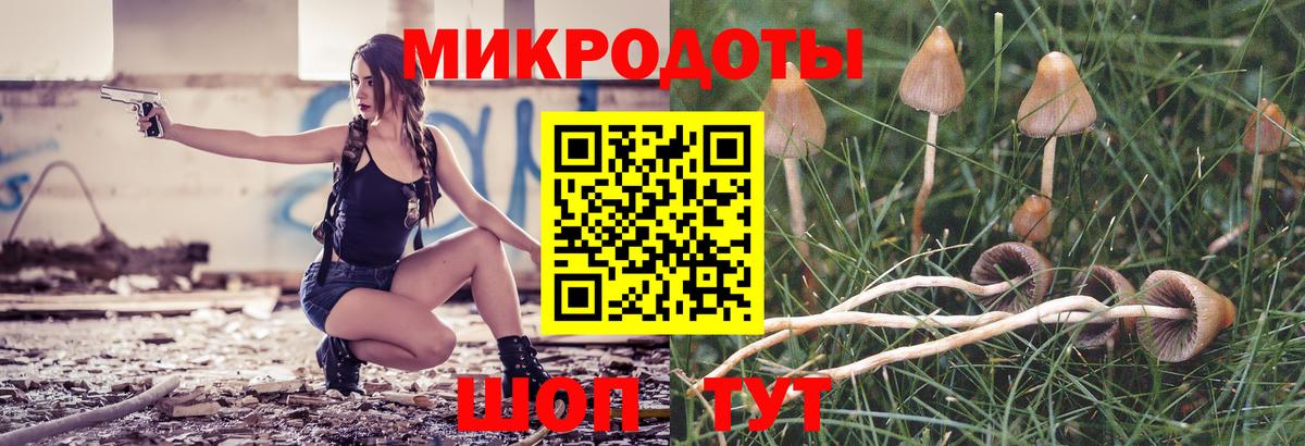 Калининград  Галлюциногенные грибы прущие грибы  Вход с VPN 